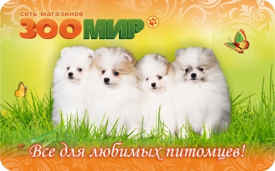 Дисконтная карта покупателю (пластиковые карты)